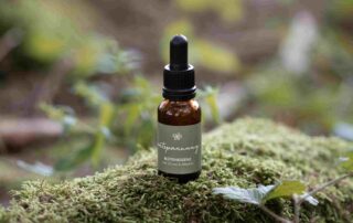 Waldviertler Bachblütenmischung Entspannung Flasche von „Blütenwald“ natürlichem Waldboden mit Moos und Stein.