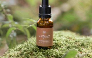 Waldviertler Bachblütenmischung Notfall Flasche von „Blütenwald“ natürlichem Waldboden mit Moos und Stein.