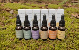 Sechs Fläschchen und Packungen der Blütenwelt Waldviertler Bachblüten-Essenzen, aufgestellt auf grünem Moos in einer natürlichen Waldumgebung.