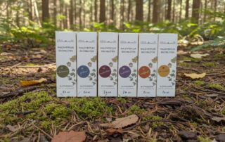 Sechs verschiedene Packungen der „Blütenwald“ Bachblüten-Essenzen, aufgereiht auf natürlichem Waldboden mit Moos und Tannennadeln.